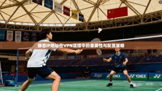 静态IP地址在VPN连接中的重要性与配置策略