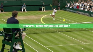 红叔VPN，网络自由的捷径还是风险陷阱？