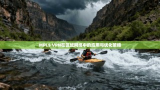 MPLS VPN在区域网络中的应用与优化策略