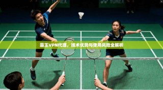 霸王VPN代理，技术优势与使用风险全解析