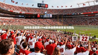 如何合法使用VPN服务保障网络安全与隐私