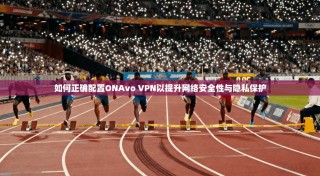 如何正确配置ONAvo VPN以提升网络安全性与隐私保护