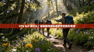 VPN Gut 是什么？揭秘网络隐私保护中的隐形盾牌