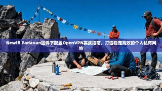 Newifi Padavan固件下配置OpenVPN实战指南，打造稳定高效的个人私有网络