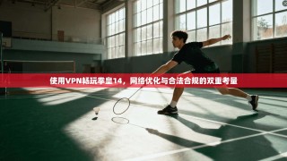 使用VPN畅玩拳皇14，网络优化与合法合规的双重考量