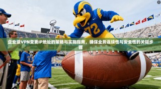 企业级VPN变更IP地址的策略与实施指南，确保业务连续性与安全性的关键步骤