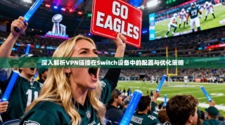 深入解析VPN链接在Switch设备中的配置与优化策略