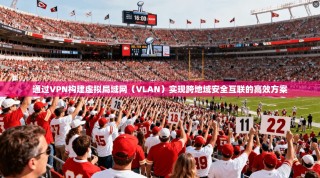 通过VPN构建虚拟局域网（VLAN）实现跨地域安全互联的高效方案