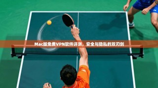 Mac版免费VPN软件评测，安全与隐私的双刃剑