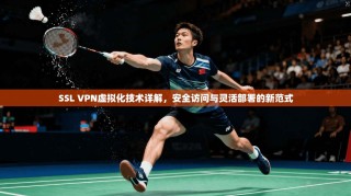 SSL VPN虚拟化技术详解，安全访问与灵活部署的新范式