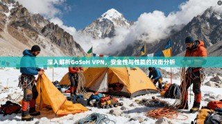 深入解析GoSoH VPN，安全性与性能的权衡分析