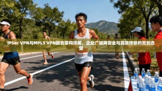 IPSec VPN与MPLS VPN融合架构详解，企业广域网安全与高效传输的双剑合璧