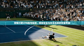 警惕付费VPN账号陷阱，网络安全与合法合规的双重考量