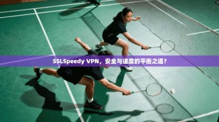 SSLSpeedy VPN，安全与速度的平衡之道？