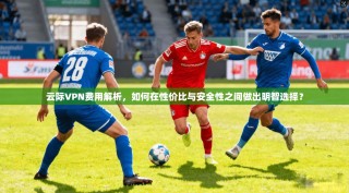 云际VPN费用解析，如何在性价比与安全性之间做出明智选择？