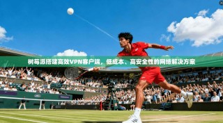 树莓派搭建高效VPN客户端，低成本、高安全性的网络解决方案