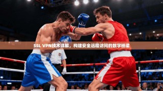 SSL VPN技术详解，构建安全远程访问的数字桥梁