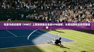 在亚马逊云服务（AWS）上高效搭建企业级VPN连接，从规划到优化的完整指南