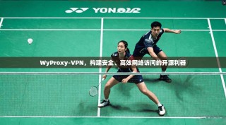 WyProxy-VPN，构建安全、高效网络访问的开源利器