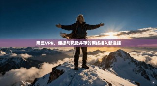 网盒VPN，便捷与风险并存的网络接入新选择