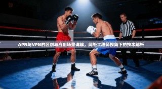 APN与VPN的区别与应用场景详解，网络工程师视角下的技术解析