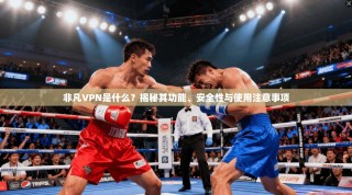 非凡VPN是什么？揭秘其功能、安全性与使用注意事项
