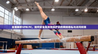 全面解析VPN PC，如何安全高效地保护你的网络隐私与访问权限