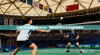 无需VPN也能畅享eShop，网络优化与合法访问策略解析