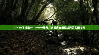 Linux下搭建PPTP VPN服务，实现安全远程访问的实用指南