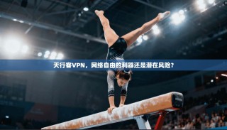 天行客VPN，网络自由的利器还是潜在风险？