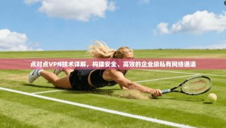 点对点VPN技术详解，构建安全、高效的企业级私有网络通道