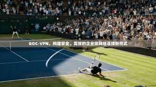 GOC-VPN，构建安全、高效的企业级网络连接新范式