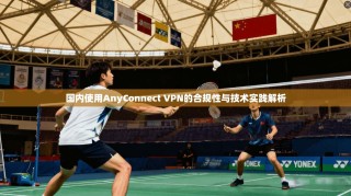 国内使用AnyConnect VPN的合规性与技术实践解析