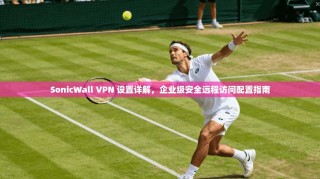 SonicWall VPN 设置详解，企业级安全远程访问配置指南