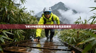 飞帆VPN使用指南与网络安全性深度解析