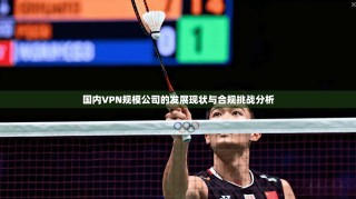 国内VPN规模公司的发展现状与合规挑战分析
