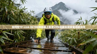 如何在TP-Link R6100路由器上配置VPN功能实现安全远程访问