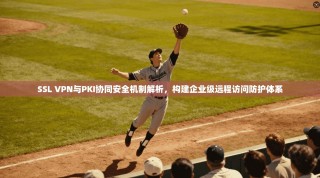 SSL VPN与PKI协同安全机制解析，构建企业级远程访问防护体系
