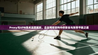 Proxy与VPN技术深度解析，企业网络架构中的安全与效率平衡之道