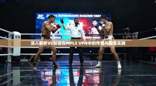 深入解析VC标签在MPLS VPN中的作用与配置实践