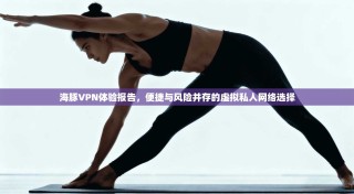 海豚VPN体验报告，便捷与风险并存的虚拟私人网络选择