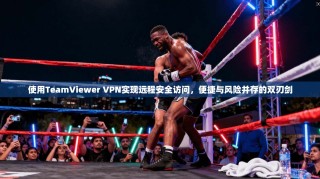 使用TeamViewer VPN实现远程安全访问，便捷与风险并存的双刃剑