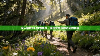 深入解析DR VPN技术，实现安全远程访问的利器