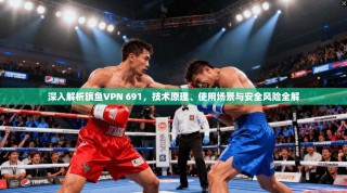 深入解析旗鱼VPN 691，技术原理、使用场景与安全风险全解