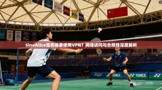 SinoAlice是否需要使用VPN？网络访问与合规性深度解析
