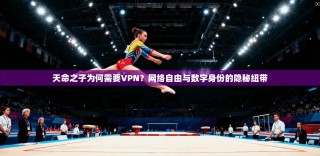 天命之子为何需要VPN？网络自由与数字身份的隐秘纽带