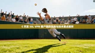C 开发 SSL VPN 客户端的实践与技术要点解析