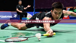 H3C动态IP VPN配置与应用实践详解