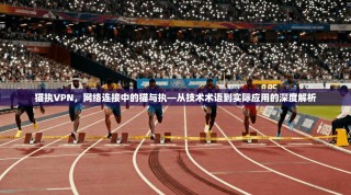 猫执VPN，网络连接中的猫与执—从技术术语到实际应用的深度解析