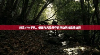 新浪VPN手机，便捷与风险并存的移动网络连接选择